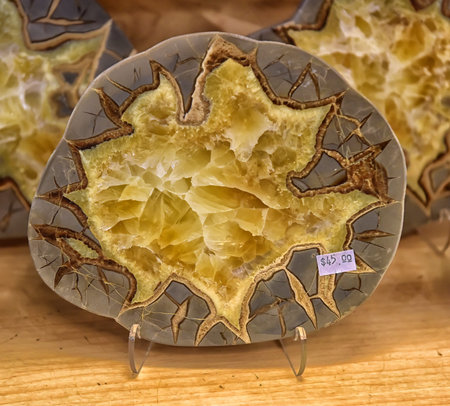 Exhibition of slices of several colored minerals in a museum. Colorado, United States.の写真素材