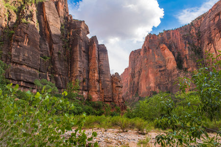 Zion National Park at Sunset, Utahの写真素材