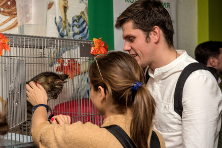 Exhibition and distribution of cats from a shelter, Second Chance, St. Petersburg, Russia.