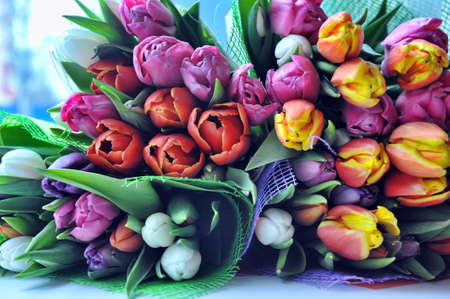 Several bouquets of tulipsの写真素材