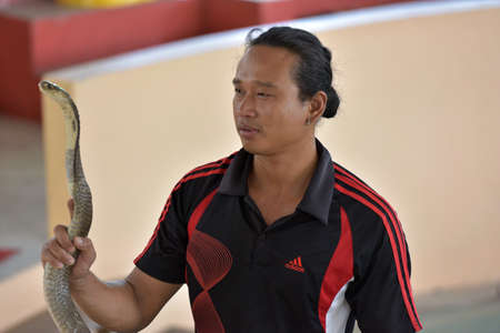 PATTAYA, THAILAND -26,06,2017 : "Show of snakes" performer play with cobra during a show in a zoo on 26,06, 2017 in Pattaya, Thailand.のeditorial素材