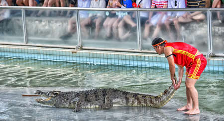 PATTAYA, THAILAND - June 26: Crocodile show and man exciting and dangerous at crocodile zoo farm on June 26, 2017 in Pattaya, Thailandのeditorial素材