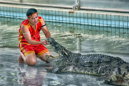 PATTAYA, THAILAND - June 26: Crocodile show and man exciting and dangerous at crocodile zoo farm on June 26, 2017 in Pattaya, Thailandのeditorial素材