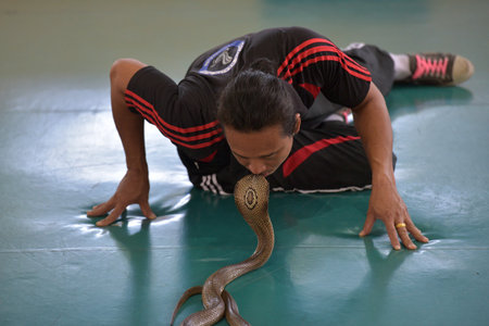PATTAYA, THAILAND -26,06,2017 : Show of snakes performer play with cobra during a show in a zoo on...