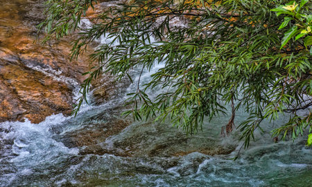 Stream in the tropical jungles of South East Asia Thailand Koh Chang