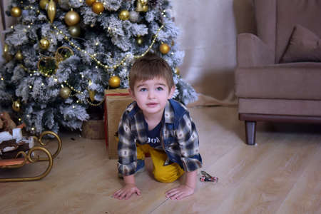 little brunette boy in a plaid shirt near a Christmas tree at Christmasの写真素材