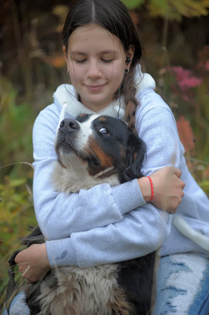 Bernese Mountain Dog and girl teenage girl walking in the park