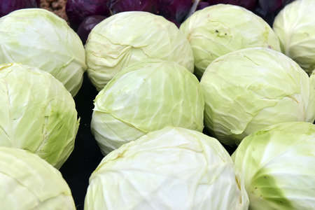 Group of green cabbages in a supermarketの写真素材