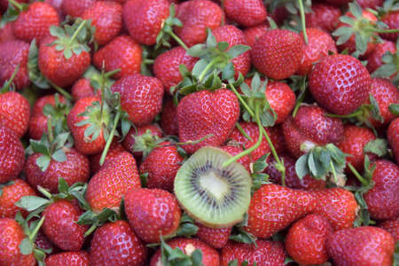 strawberry and kiwi slices, backgroundの写真素材