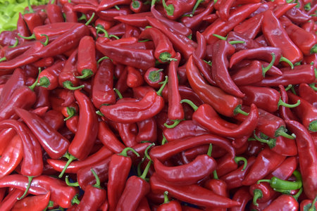 Background of many red peppersの写真素材