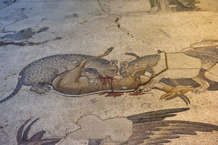 ISTANBUL, TURKEY - MAY 31, 2014 : Byzantine 5th century mosaics from the Great Palace Mosaic at the Istanbul Mosaic Museum.のeditorial素材