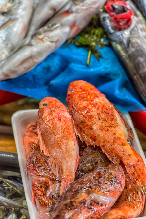 Turkey, Istanbul, 20,03,2018  Various fish on the counter fish shop in Istanbul.
