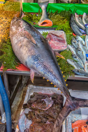 Turkey, Istanbul 23,08,2018 Tuna on the counter in the fish marketのeditorial素材
