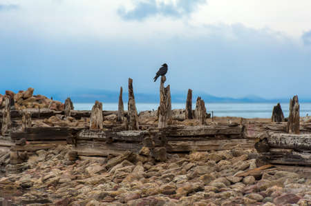 Baikal, Olkhon. Remains of the pier of the fish factory at the Peschanoye tract (located 20 km to the north of the Khuzhir settlement in the Nyurgan Bay bay). From 1932 to 1951 there was one of the camps that were part of the Gulag system.の写真素材