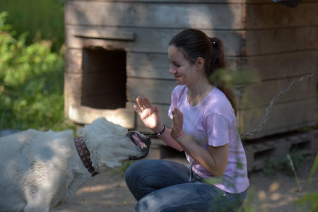 girl brunette teenager with a white Central Asian sheepdog
