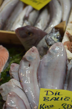 Turkey, Istanbul, 14,03,2018 Solea solea in the fish market of Istanbulのeditorial素材