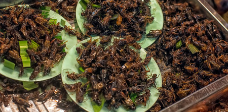 fried cockroaches - exotic Thai food