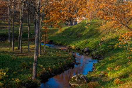 Autumn landscape. Stream in the Oranienbaum Park.