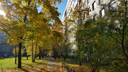 Russia, Petersburg. 12,10,2018 The path in the courtyard of an apartment building strewn with autumn leavesのeditorial素材
