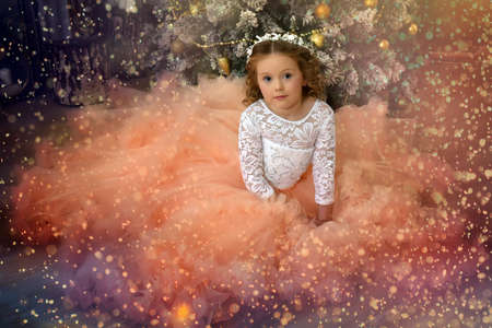 Beautiful young princess in a magnificent dress with a peach skirt in Christmasの写真素材