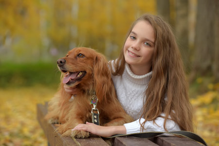 happy girl in the park with a spaniel in autumnの写真素材