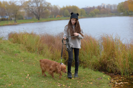 happy girl in the park with a spaniel in the fall by the lakeの写真素材