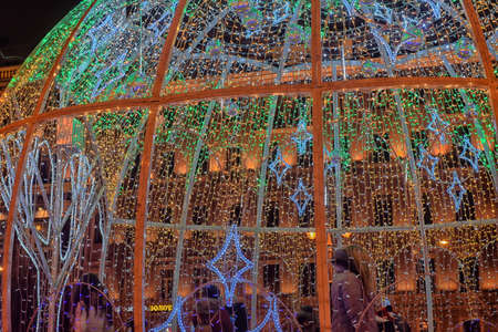 Russia, St. Petersburg 01,01,2019 Manege Square.
A dome of light garlands in which brighter elements depict trees.のeditorial素材