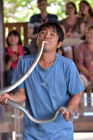 Thailand, Pattaya 08,08,2018 entertaining show with snakes on the snake farm