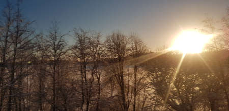 snow-covered landscape with a field in winter and the sun in backlightの写真素材