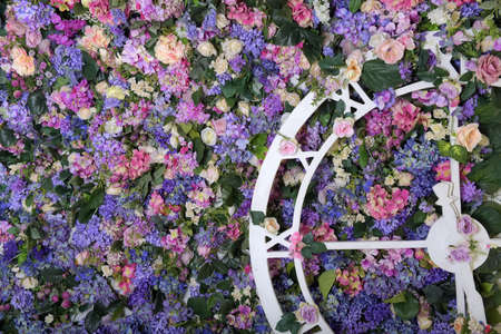 wall of pink and lilac flowers, background and watch faceの写真素材