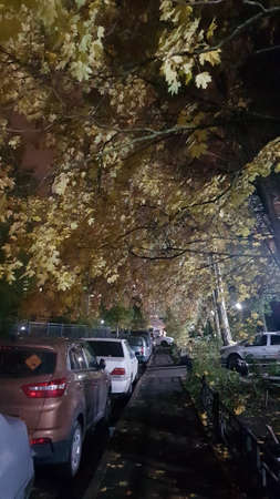 Russia, St. Petersburg 12.10,2019 Cars parked in the courtyard of an apartment building in leaf fallのeditorial素材