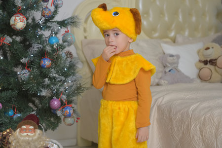 little boy in dog costume at christmasの写真素材