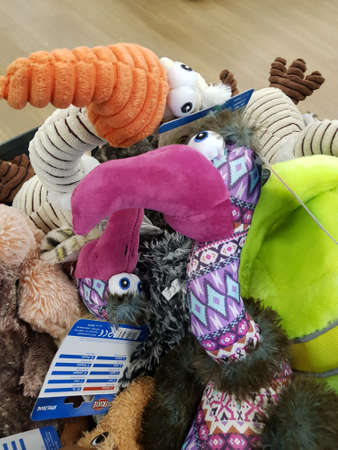 Lappeenranta, Finland 15.01,2020 Toys for dogs in a pet storeのeditorial素材