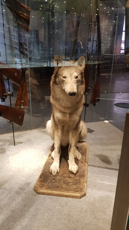Russia, Tula - 13,01,2019 Museum of weapons. 2015, the museum opened a new permanent exhibition The...