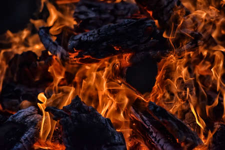bonfire and flames, embers of a bonfireの写真素材