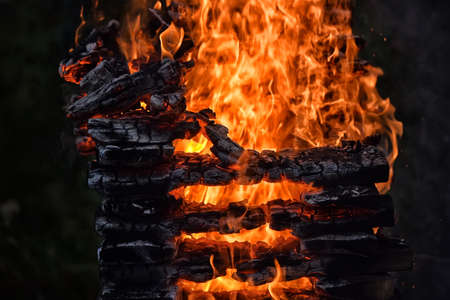 bonfire close-
close-up of fire and fire in woodの写真素材