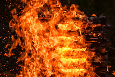 bonfire close-
close-up of fire and fire in wood