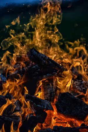 bonfire and flames against a dark sky in the fieldの写真素材