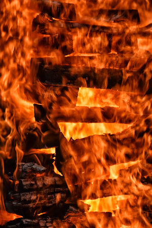 bonfire close-
close-up of fire and fire in woodの写真素材