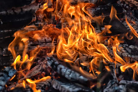 bonfire close-
close-up of fire and fire in woodの写真素材