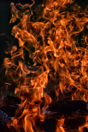 bonfire with sparks in the forest at the night