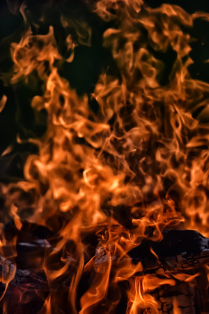 bonfire with sparks in the forest at the night