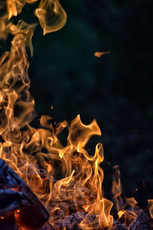 bonfire with sparks in the forest at the nightの写真素材