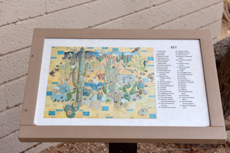 USA, Arizona, 26.06.2016 Saguaro National Park. Tourist center and tourist informationのeditorial素材