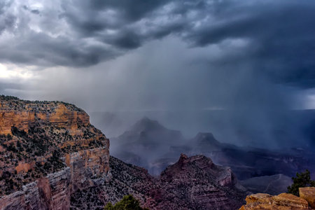 Grand Canyon close up after a summer rain.の写真素材