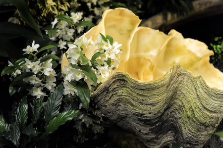 miniature growing orchids in a botanical gardenの写真素材