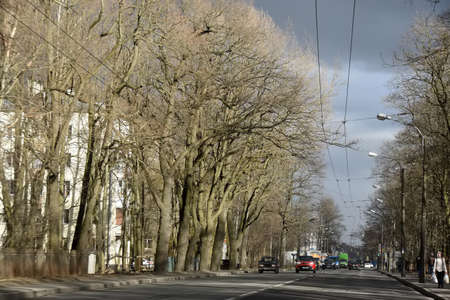 Russia, St. Petersburg 05/20/2020 City Road among tall trees in springのeditorial素材