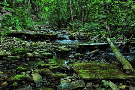creek among stones overgrown with moss