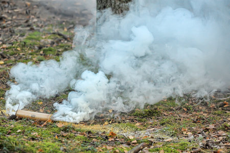 smoke grenade thrown in the forest