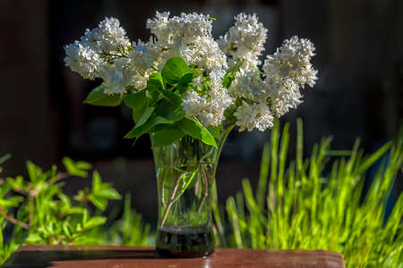 white lilac in a vase in the gardenの写真素材